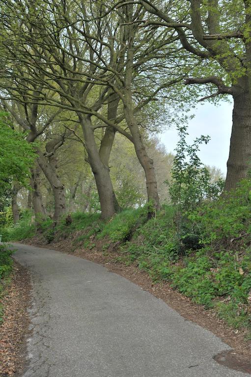 B&B Op De Brabantse Wal Halsteren エクステリア 写真