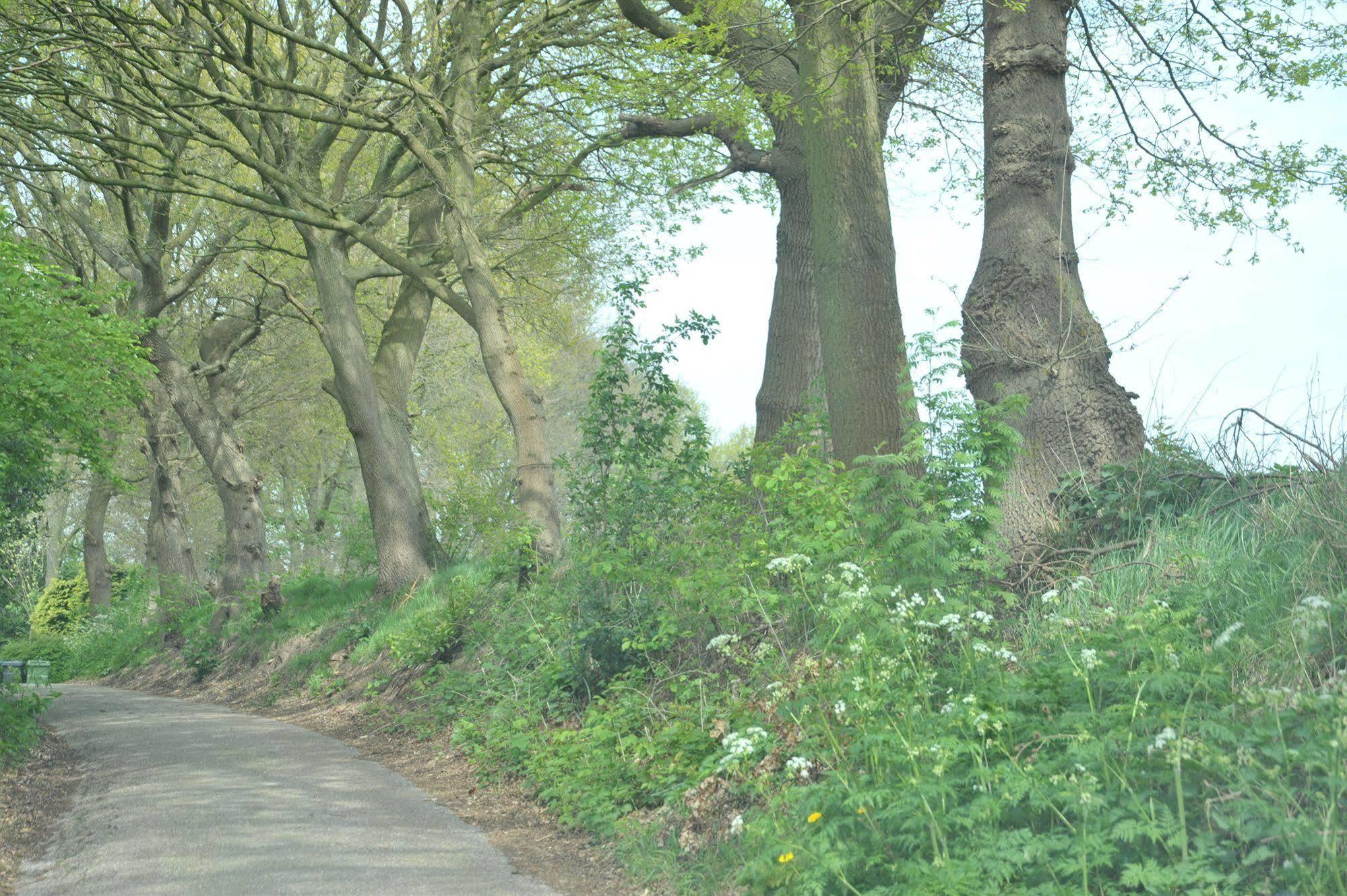 B&B Op De Brabantse Wal Halsteren エクステリア 写真
