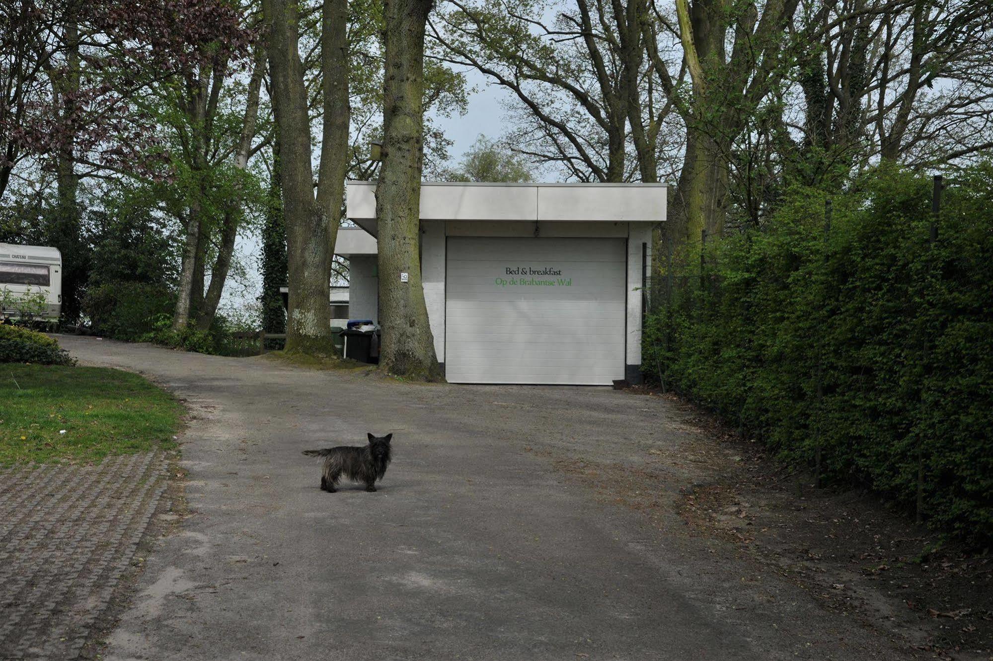 B&B Op De Brabantse Wal Halsteren エクステリア 写真